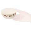 Skater XP14 Dishwasher-Safe Bowl, 11.2 fl oz (330 ml), Fruit,