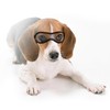 Protective Eye Cover for Small, Medium & Large Dogs &