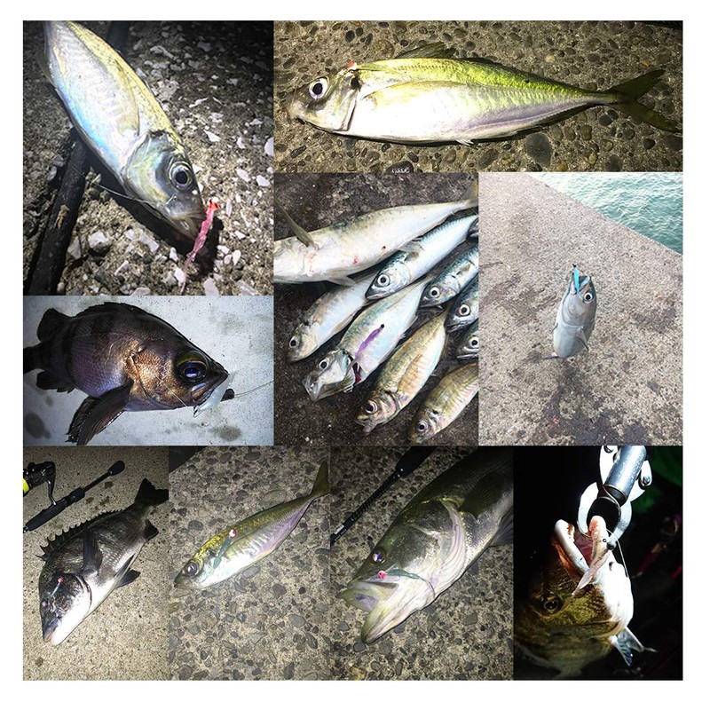 buri-den Metal Thermal Single G, Blue Bring