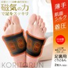 Alphax Foot Supporter, Silk Blend, Magnetic Medical Supporter, For Soles
