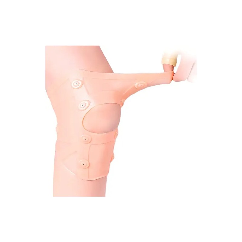 Rodillera Magnética Con Imanes Terapia Dolor Artritis Unisex