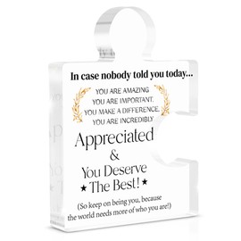 Employee Appreciation Gifts Thank You Gift Goodbye Leaving Gifts for Coworkers Colleagues Employees, in Case Nobody Told You Today You Are Appreciated Acrylic Puzzle Piece Plaque Office Decor