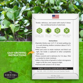 1 Pack Kale Microgreens Seeds for Planting and Growing - Plant Green Leafy Micro Vegetable Plants Indoors - Grow Your Own Mini Windowsill Garden - Non-GMO Heirloom - Survival Garden Seeds