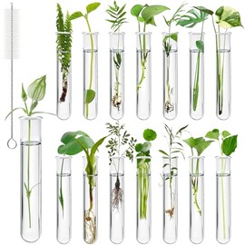 15 Piezas de Tubos de Ensayo Transparentes para Plantas, Tubos de Propagación de 20ml con Cepillo, Tubos de Ensayo de Plástico para Plantas Hidróponas, Flores, Decoración de Pared para Hogar