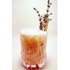 BIO AGAVE Biodegradable 8.25" Standard Straws Made From Agave Fibers