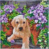 Crystal Art 30 x 30 cm Flower Puppy Diamond Painting