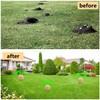 Mole Repellent,Gopher Repellent,Vole Repellent,Mole Repellent for lawns,Mole Trap, Mole Control,