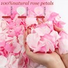 240PCS Real Rose Flower Petals Confetti for Wedding Flower Girl