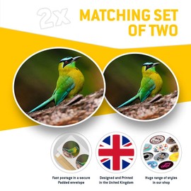 Vinyl Stickers (Set of 2) 10cm - Blue Capped Motmot Bird Decals for Laptops,Tablets,Luggage,Scrap Booking,Fridges, 12499