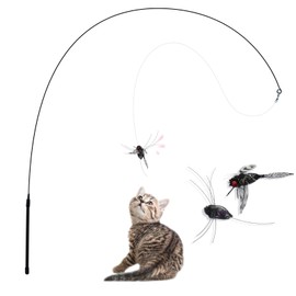 Andiker Cat Wand Toy, 2 Pack Realistic Animal Shapes Cat Interactive Toys with Bells for Cats of All Ages, Chasing Scratching Chewing Cat Enrichment Toys for Indoor Cats (Spider+Dragonfly)