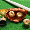 MiniInflat 24 Pack Gold Autograph Baseballs 9 Inch Blank Baseballs