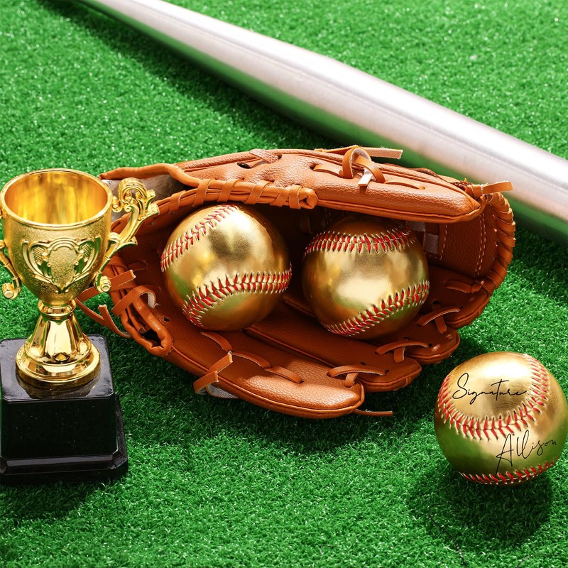 MiniInflat 24 Pack Gold Autograph Baseballs 9 Inch Blank Baseballs