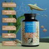 Omega-3 Vegan 90 Capsules High Dose, 2000 mg Omega-3 Algae