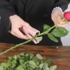 Set of 3 Professional Rose Leaf Thorn Stripper Kit, Rose