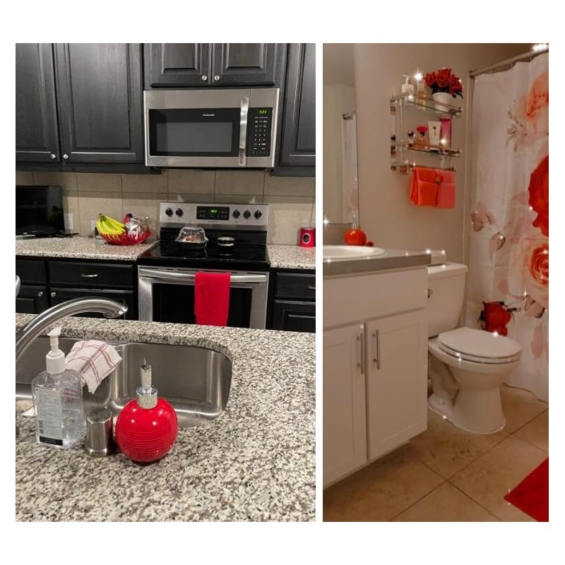 EatingBiting Red Easy-to-Clean Ceramic Hand Soap Dispenser Bathroom Countertop Decorative