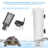 Turtle Tank Water Filter Low Water Level Silent Turtle Waterfall