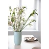 Arzberg Rosenthal Joyn Mint Green 44020-640206-14772 Combination Cup 0.28 L