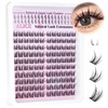 ALICE Natural Lash Clusters Wispy Eyelash Extensions Manga Clusters Lashes