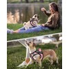 FAYOGOO Service Dog Vest for Small Breed - Lightweight Dog