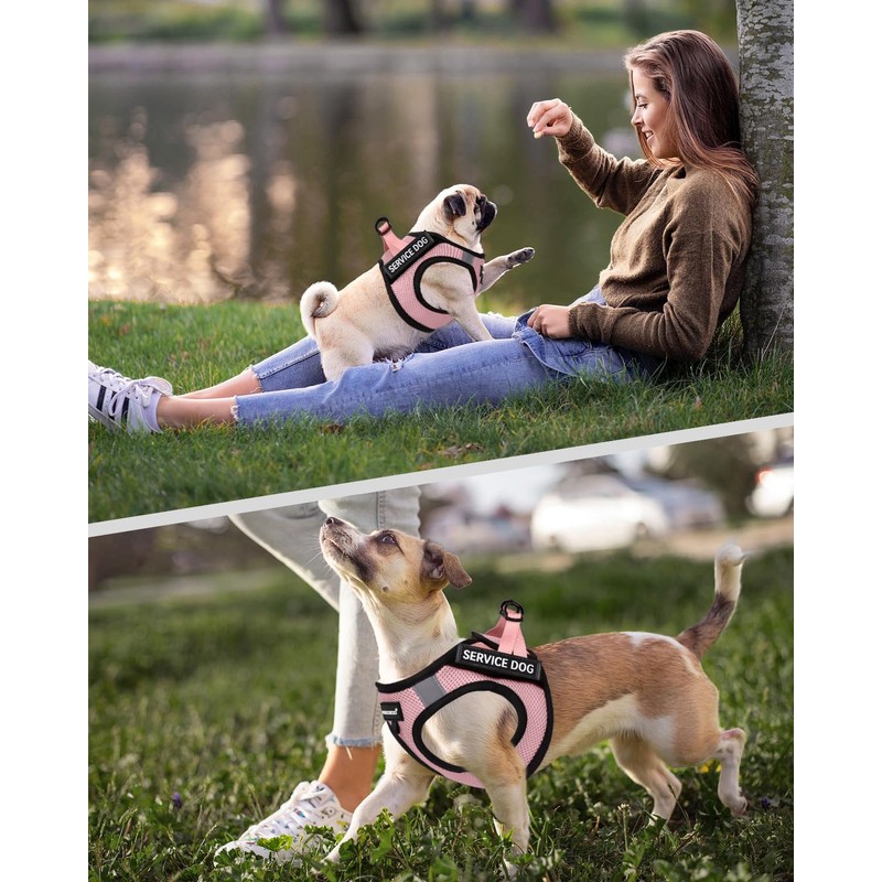 FAYOGOO Service Dog Vest for Small Breed - Lightweight Dog