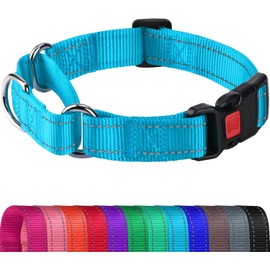 Joytale Martingale Collar for Dogs, Reflective Heavy Duty for Safety, Quick Release Buckle, Adjustable Nylon Collars for Medium Dogs Walking Training, Sky Blue,M