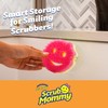 Scrub Daddy 6 Scrub Mommy Kitchen Sponges & 1 Daddy