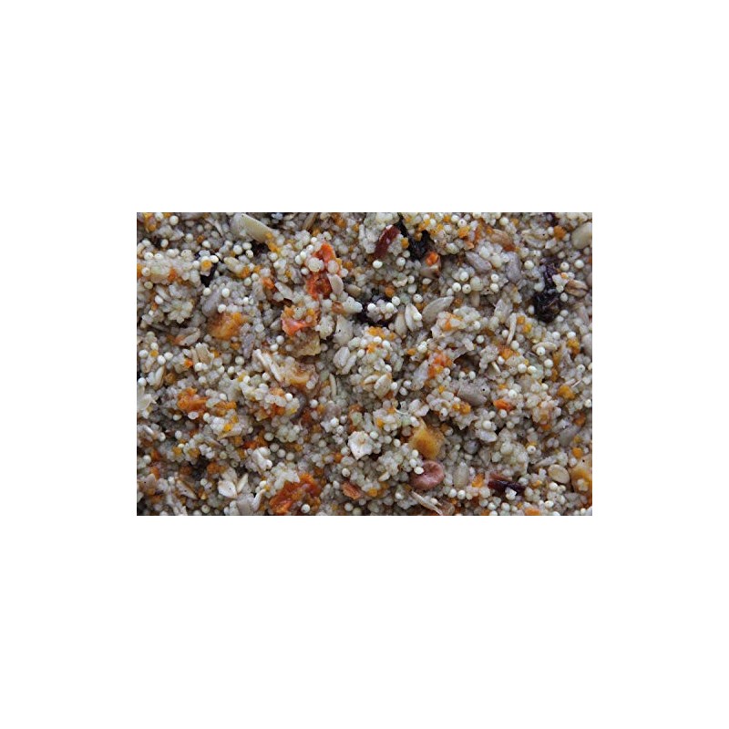 Higgins 2 Pack of Worldly Cuisines Spice Market Bird Treat,