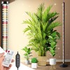 Standing Grow Lights for Indoor Plants, Full Spectrum Plant Lights