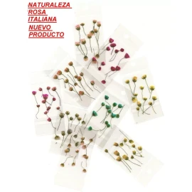 MKN 100 Paquetitos De Naturaleza Muerta Para Decoración De Uñas