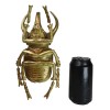 Ebros Gift Medium Gold Resin 3 Horned Rhinoceros Beetle Wall
