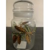 Libbey VTG Libbey Pine Cone Glass Canister Storage Jar &