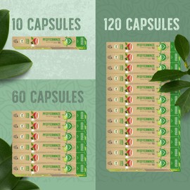 La Natura Lifestyle Organic Peppermint Tea 100% Industrial Compostable² Tea Capsules Environmentally Friendly 60 Tea Capsules for Nespresso®³ Capsule Machines