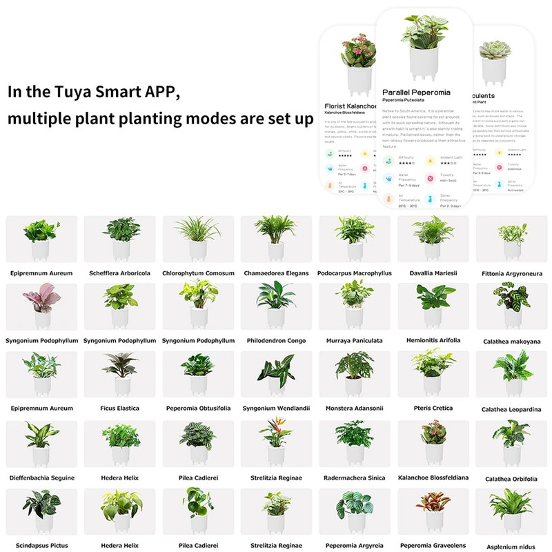 Odpaltoy Odpaltoy Smart Plant Pot with Expression,AI Smart Planter Robot