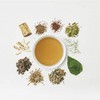 Tree of Life My 30 Days Tea Light and Saracia