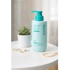 Lilive Scalpton Cica PDRN Deep Clean Shampoo Fresh Mint Flavor 500g, 1 pc / 릴리이브 스칼프턴 시카 PDRN 딥클린 샴푸 프레쉬민트향 500g, 1개