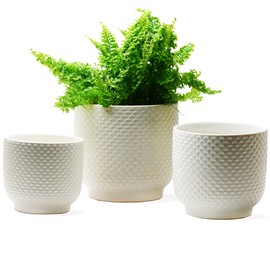4 + 5 + 6 Inch Ceramic Pots for Indoor Plants, Succulents Plant Pots, Orchid Flower Pot with Drainage Hole, Modern Clay Stoneware Planters, Set of 3 (White, 4+5+6 Inch)