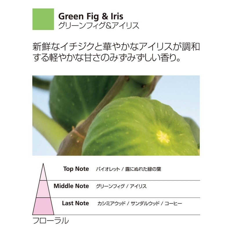 Millefiori Car Air Freshener Refill [] FIG & AIRI