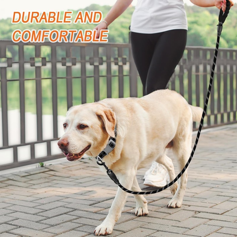 BARKBAY 2 Pack Dog leashes for Large Dogs Rope Leash