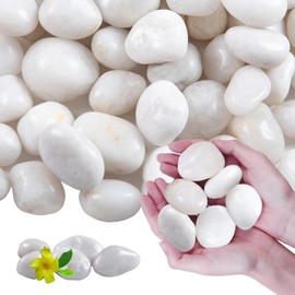 Lechloris 10Ib White River Rocks for Landscaping- High Polished White Pebbles for Plants-Garden Decorative Stones-1-2" Large Plant Rocks,Ideal for Aquarium, Home Decor
