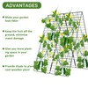 AGTEK 34" x 48" Foldable Cucumber Trellis with Garden Stakes