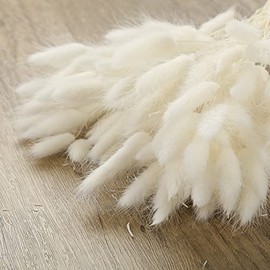 JOHOUSE 120 White Dried Lagurus Pampas Grass, Rabbit Tails Bunny Tails Handpicked Bunch, Dried Flowers for Interior Decoration Bohemian Home Wedding Decor
