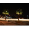 Brilliant Brand Lighting 24 Inch x 1/2 Inch Rope Light