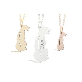 Rhodesian Ridgeback Dog Necklace - IBD - Personalize Name Date - Pendant Size Options - Sterling Silver 14K Rose Gold Filled Charm