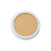 Lewis Karen HD Powder Functional Pact Refill 1ea No. 23