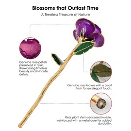 ECO SPACE 24K Gold Dipped Real Rose – Handpicked Real Rose Preserved in 24K Gold – Regal, One-of-a-Kind Romantic Gift for Her – Ideal for Birthday, Anniversary, Mother’s Day, Valentine’s Day (Purple)