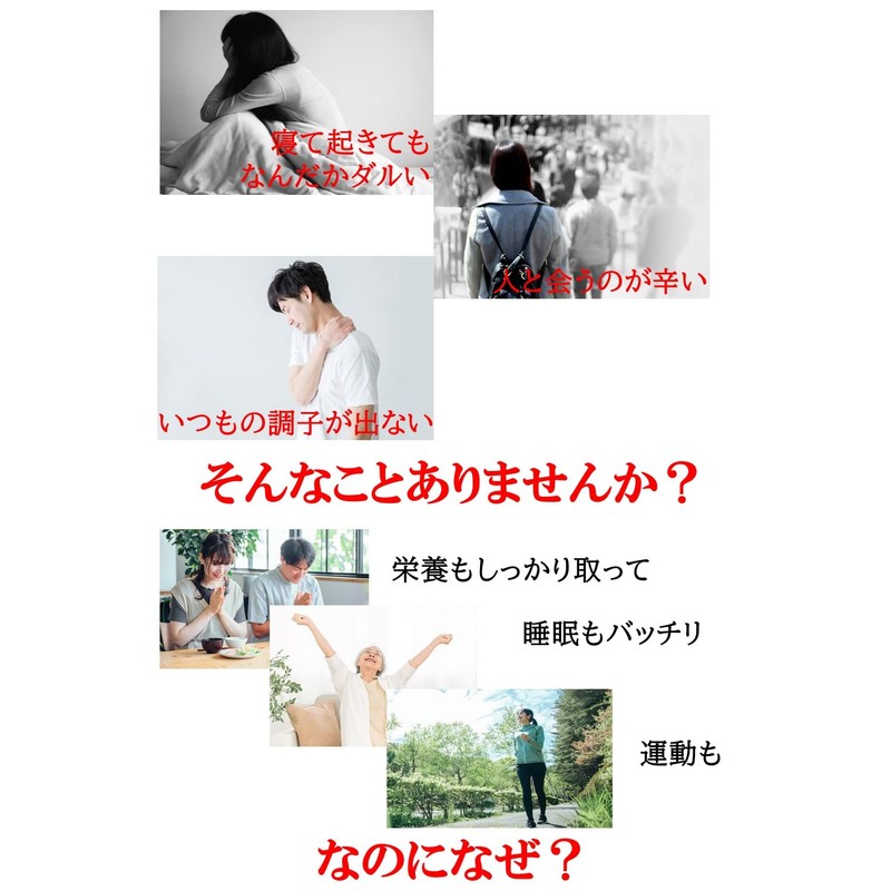 つかれず粉 170g お試し クエン酸 サプリ 【説明書付】TRAUM (2袋セット)