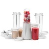 Tribest PB-250XL-A Kitchen Grinder & Personal Blender for Shakes and