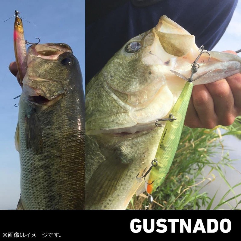 Daiwa Gas Nade 55S Mat G Wakasagi Bath Lure
