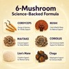 Daily Mushroom Gummies for Brain Health Support, 20 ct