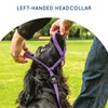 Gencon - Medium Size Anti Pull Dog Headcollar - Trainer